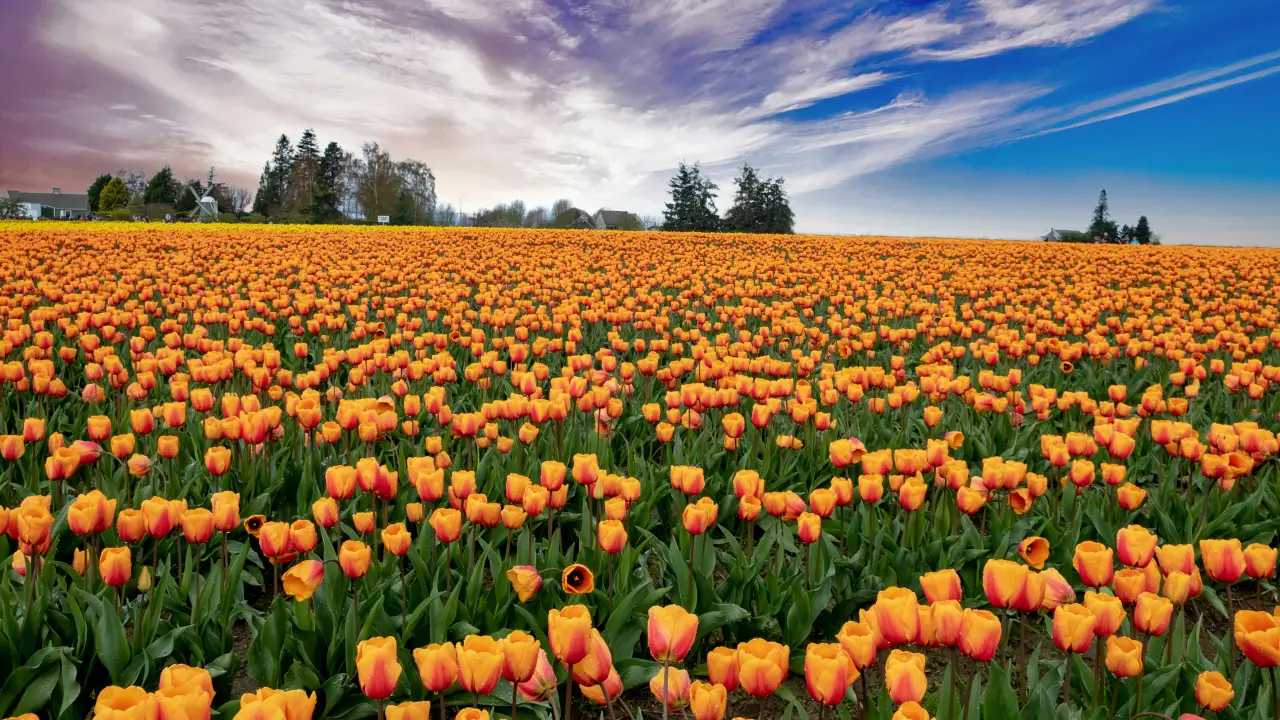 Home 18 news 2017 1775741899