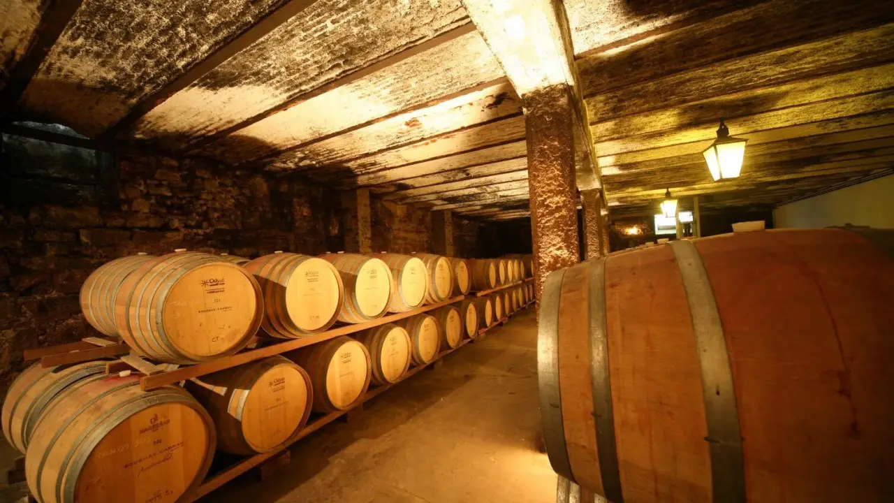 news 3111 1777280422