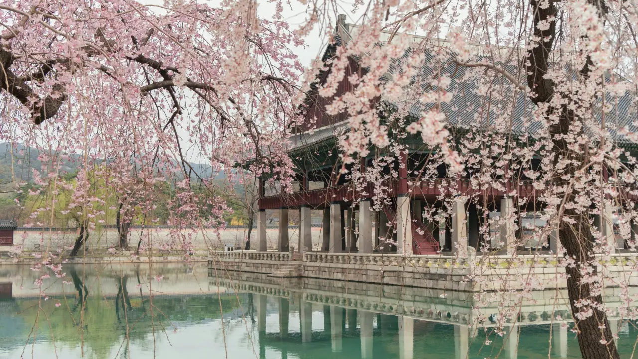 news 3224 1777454957