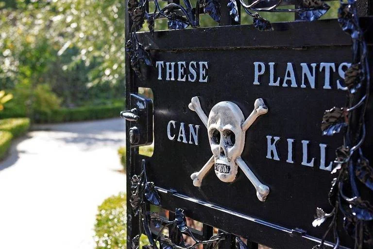 Jardim dos Venenos: Conheça o local mais letal do mundo com mais de 100 plantas tóxicas, incluindo a mais venenosa