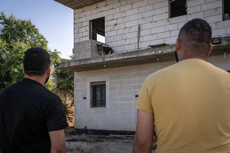 Crueldade com cadela Lucy na Cisjordânia choca palestinos acostumados à violência de colonos israelenses
