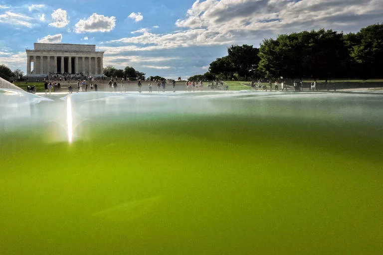 Espelho d’água azul de Trump vira verde de novo: Algas ressurgem após reforma milionária e revoltam turistas