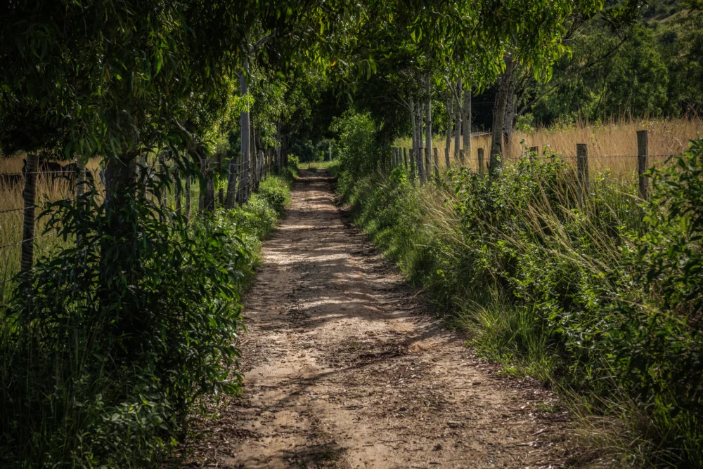 Gleba Comum Vira Campo de Batalha: Entenda o Que Transforma Terra Barata em Tesouro para Incorporadoras